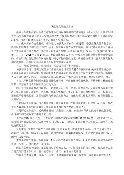 卫生院支部整改方案