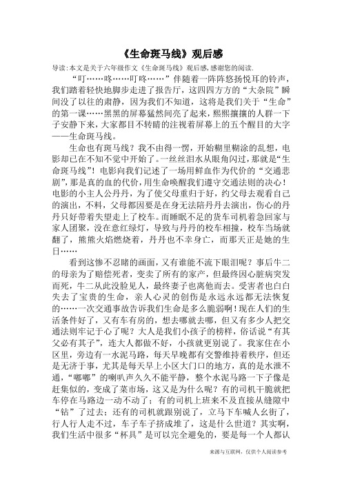 《生命斑马线》观后感_六年级作文