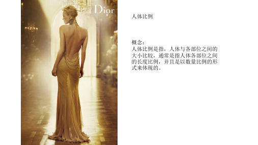 服装技法--人体比例