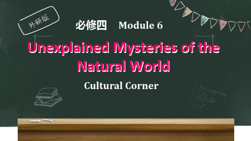 外研版高一英语必修四 Module 6   Cultrual Corner(30页)