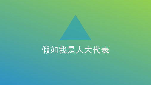 假如我是人大代表