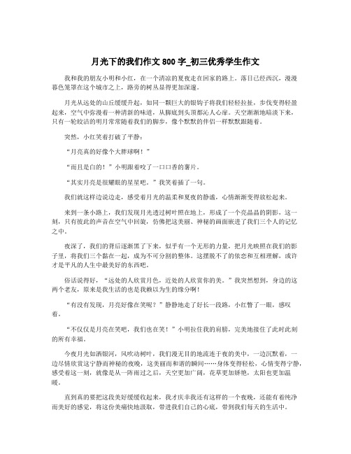 月光下的我们作文800字_初三优秀学生作文