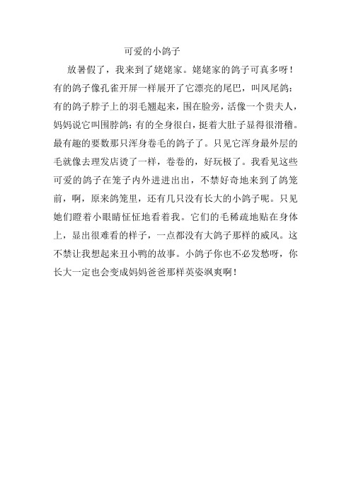 可爱的小鸽子