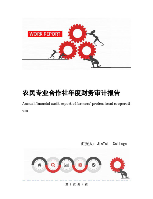 农民专业合作社年度财务审计报告