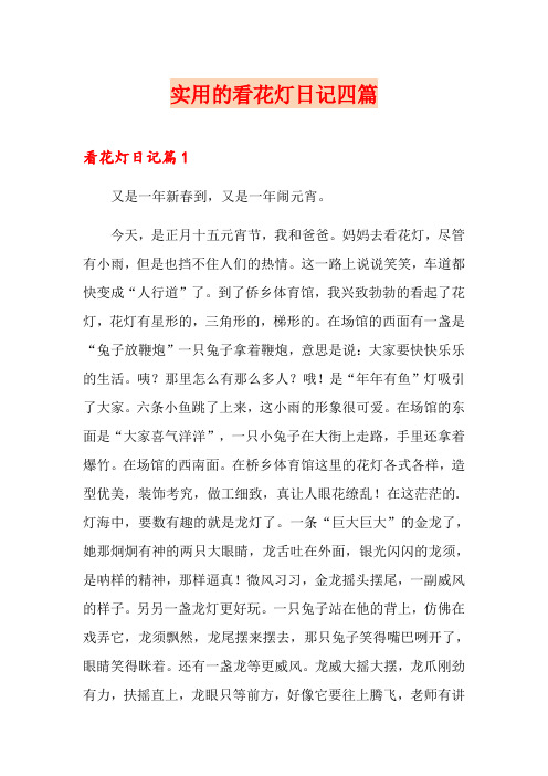 实用的看花灯日记四篇