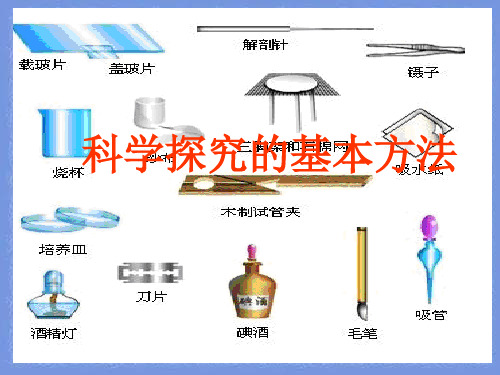 苏科版生物七上第五节《 科学探究的基本方法》ppt