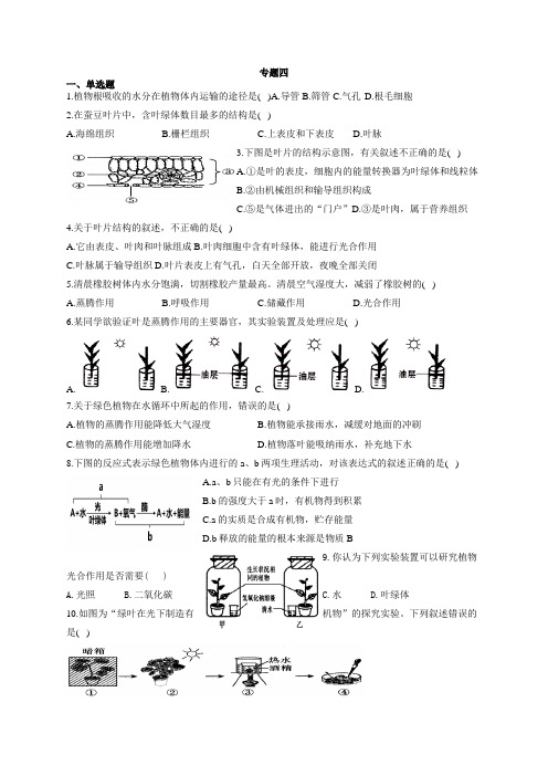 专题四植物的光合作用呼吸作用蒸腾作用