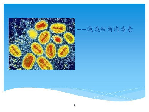 内毒素简介