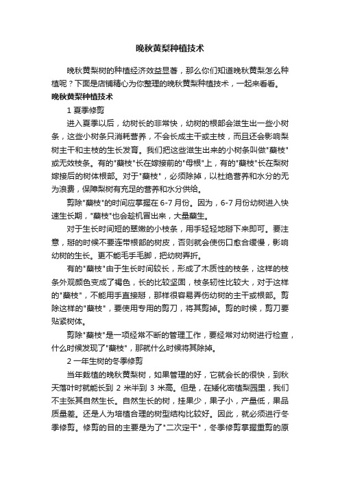 晚秋黄梨种植技术