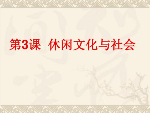 高中精品选修课：中学生休闲文化 第3课 休闲文化与社会