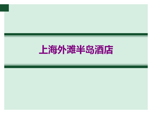 上海外滩半岛酒店(店面展示分析)_ppt