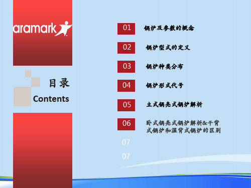 锅炉基础知识解析.完整版ppt资料