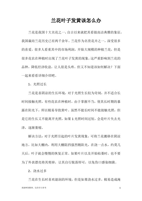 兰花叶子发黄该怎么办