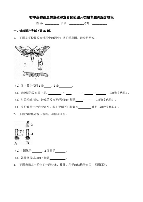 初中生物昆虫的生殖和发育试验图片类题专题训练含答案