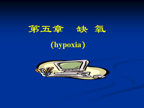 hypoxia低氧血症