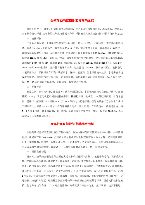 金银花的扦插繁殖(药材种养技术)Microsoft Word 文档