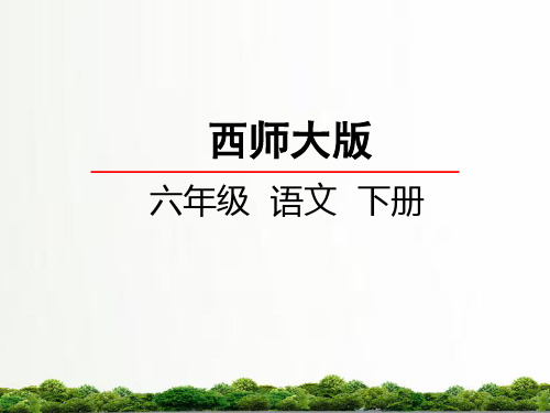 小学语文(西师大版)六年级下册同步课件：4黄山松课件