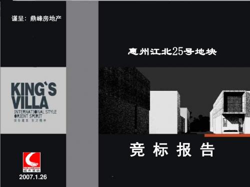 2007年惠州江北25号地块竞标报告
