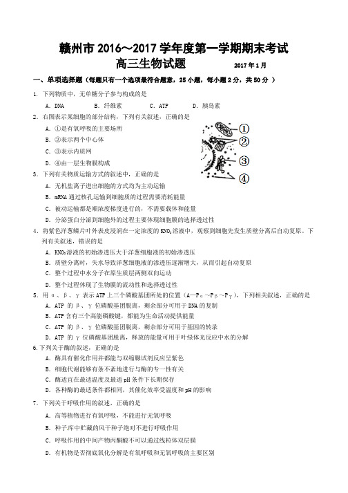 江西省赣州市2017届高三上学期期末考试生物试题 含答案