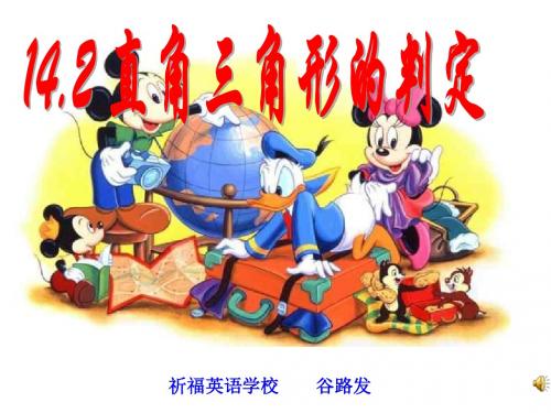 直角三角形的判定