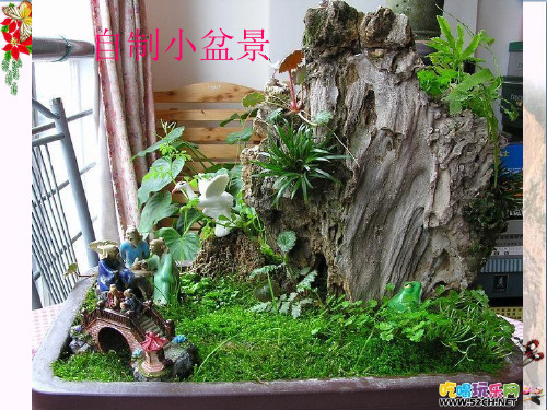 (精选)六年级美术上册自制小盆景 PPT精品课件1湘教版