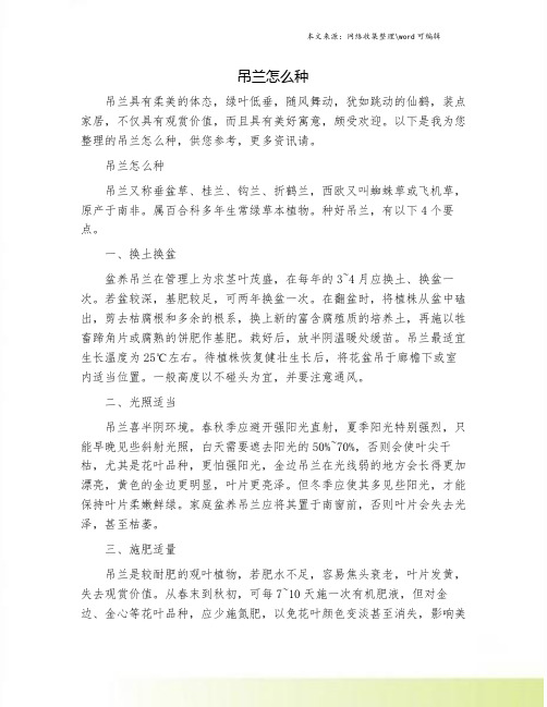 吊兰怎么种