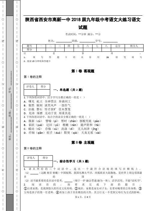 _陕西省西安市高新一中2018届九年级中考语文大练习语文试题_