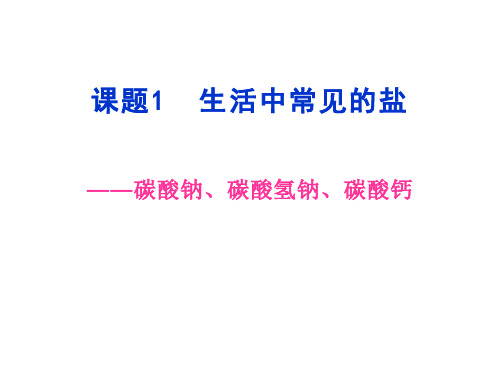 生活中常见的盐   课件