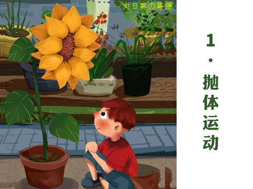 2019年高考物理一轮复习课：抛体运动(PDF版)