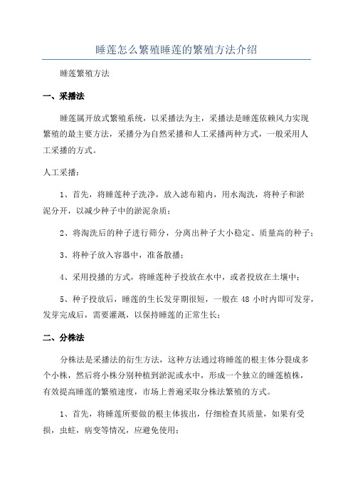 睡莲怎么繁殖睡莲的繁殖方法介绍