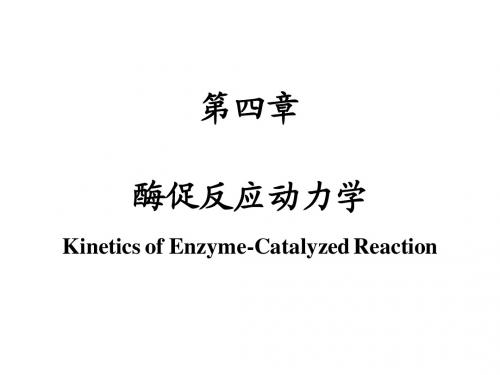 4.酶II'