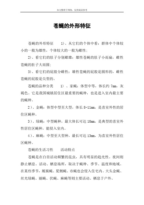 苍蝇的外形特征