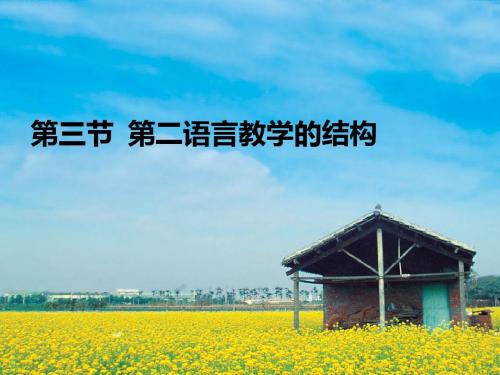 第三节  第二语言教学的结构