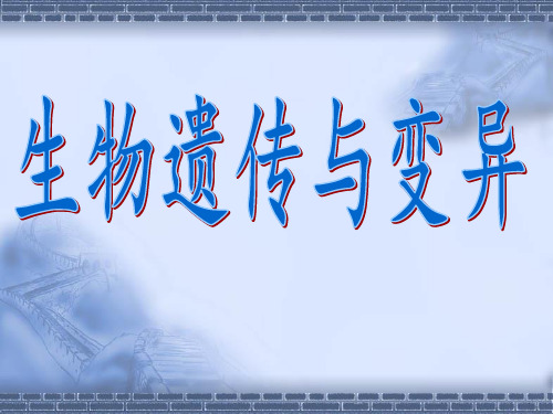 生物的遗传和变异 PPT课件