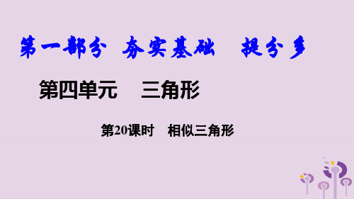 2018届中考数学复习第20课时相似三角形课件