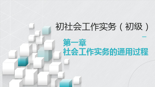 社会工作实务(初级)-第一章 社会工作实务的通用过程