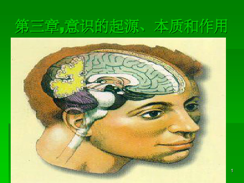意识的起源、本质和作用
