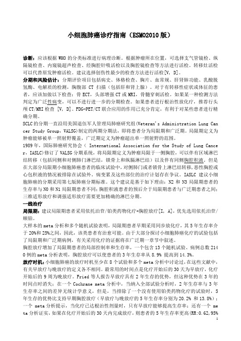 小细胞肺癌诊疗指南