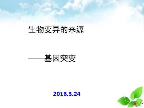 生物变异的来源ppt课件(自制)7