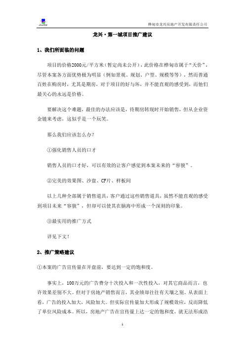 项目推广建议10622650