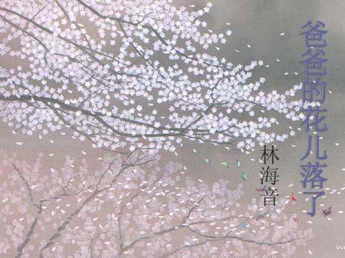 2014爸爸的花儿落了课件