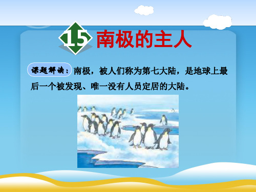 《南极的主人》PPT