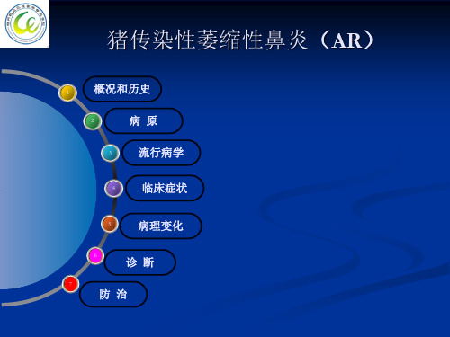 猪传染性萎缩性鼻炎