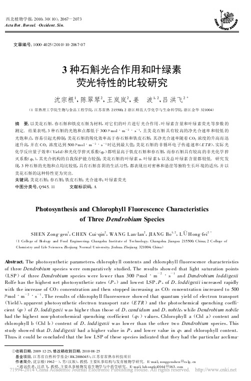 3种石斛光合作用和叶绿素荧光特性的比较研究_沈宗根