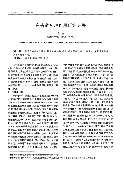 白头翁药理作用研究进展