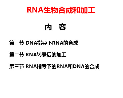 (推荐)RNA生物合成和加工
