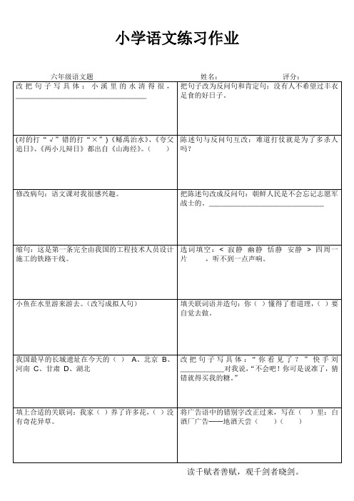小学六年级语文素养提升练习24 (114)