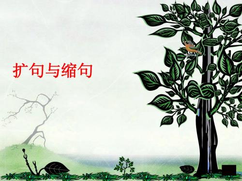 缩句、扩句