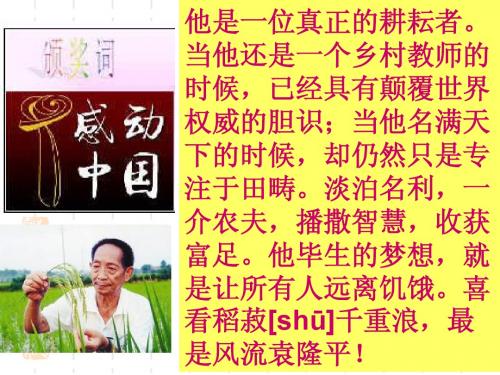 永远执着的美丽课件