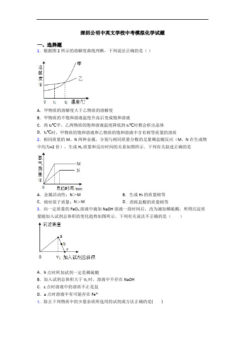 深圳公明中英文学校中考模拟化学试题